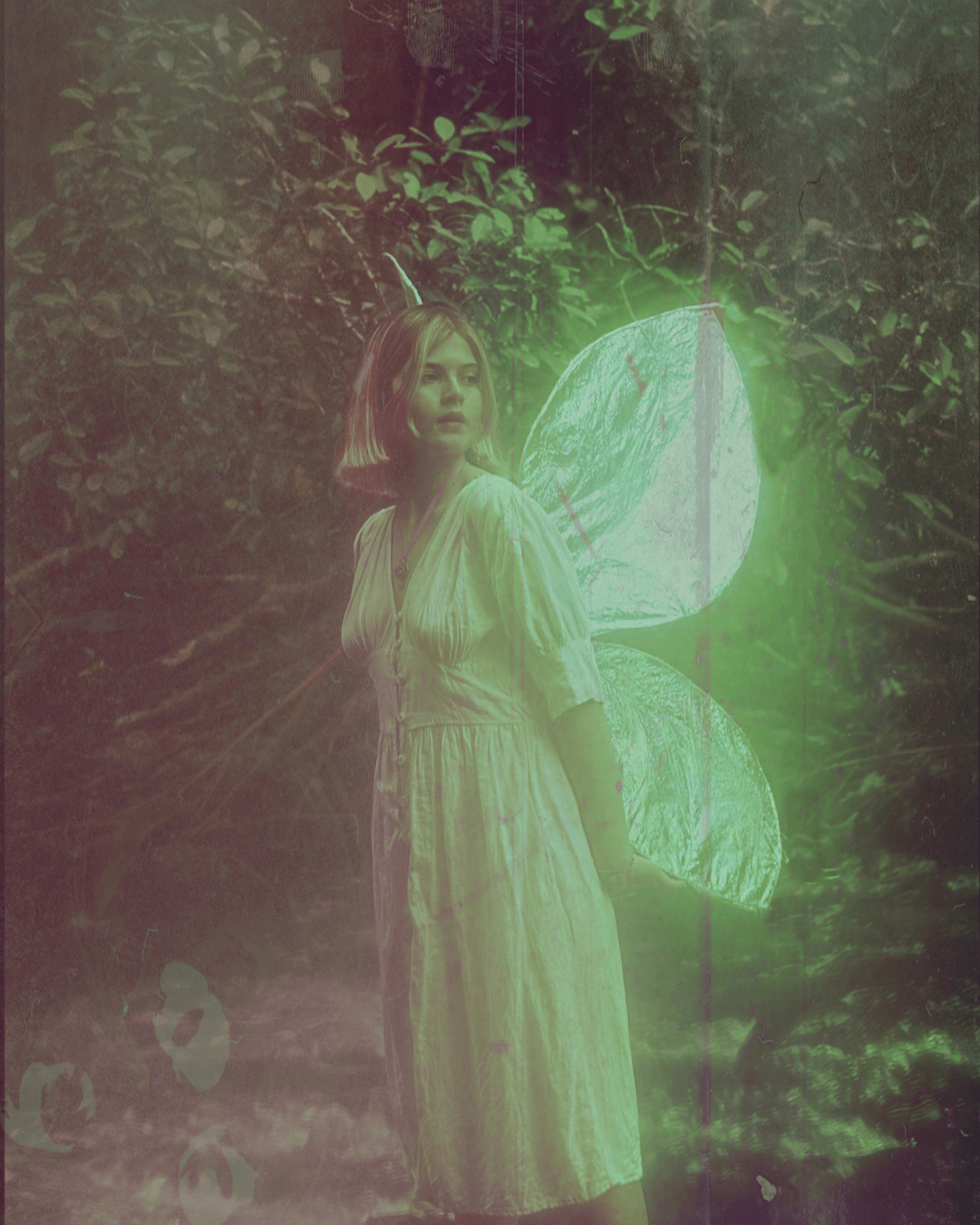 Fairy
